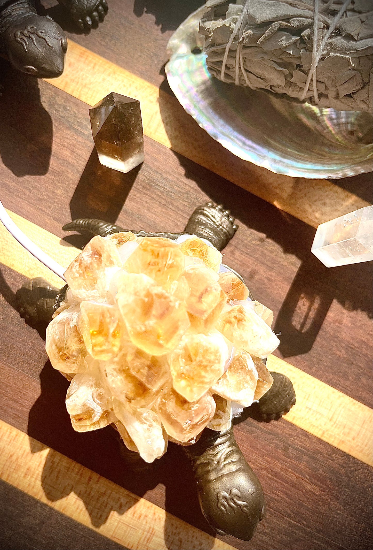 Crystal Shell Turtle Light- Citrine